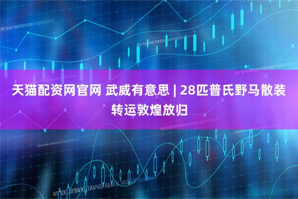 天猫配资网官网 武威有意思 | 28匹普氏野马散装转运敦煌放归