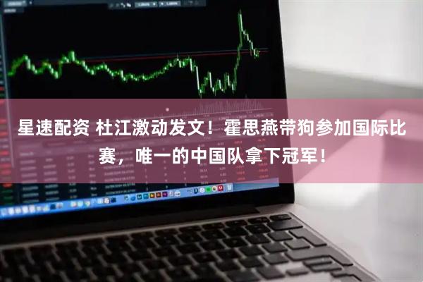 星速配资 杜江激动发文！霍思燕带狗参加国际比赛，唯一的中国队拿下冠军！