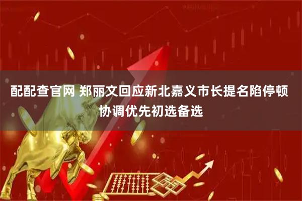 配配查官网 郑丽文回应新北嘉义市长提名陷停顿 协调优先初选备选